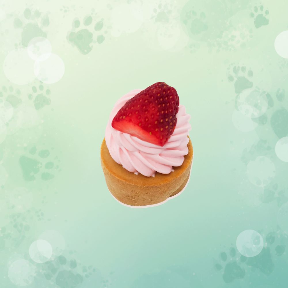 寵物杯子蛋糕 縮圖 3
